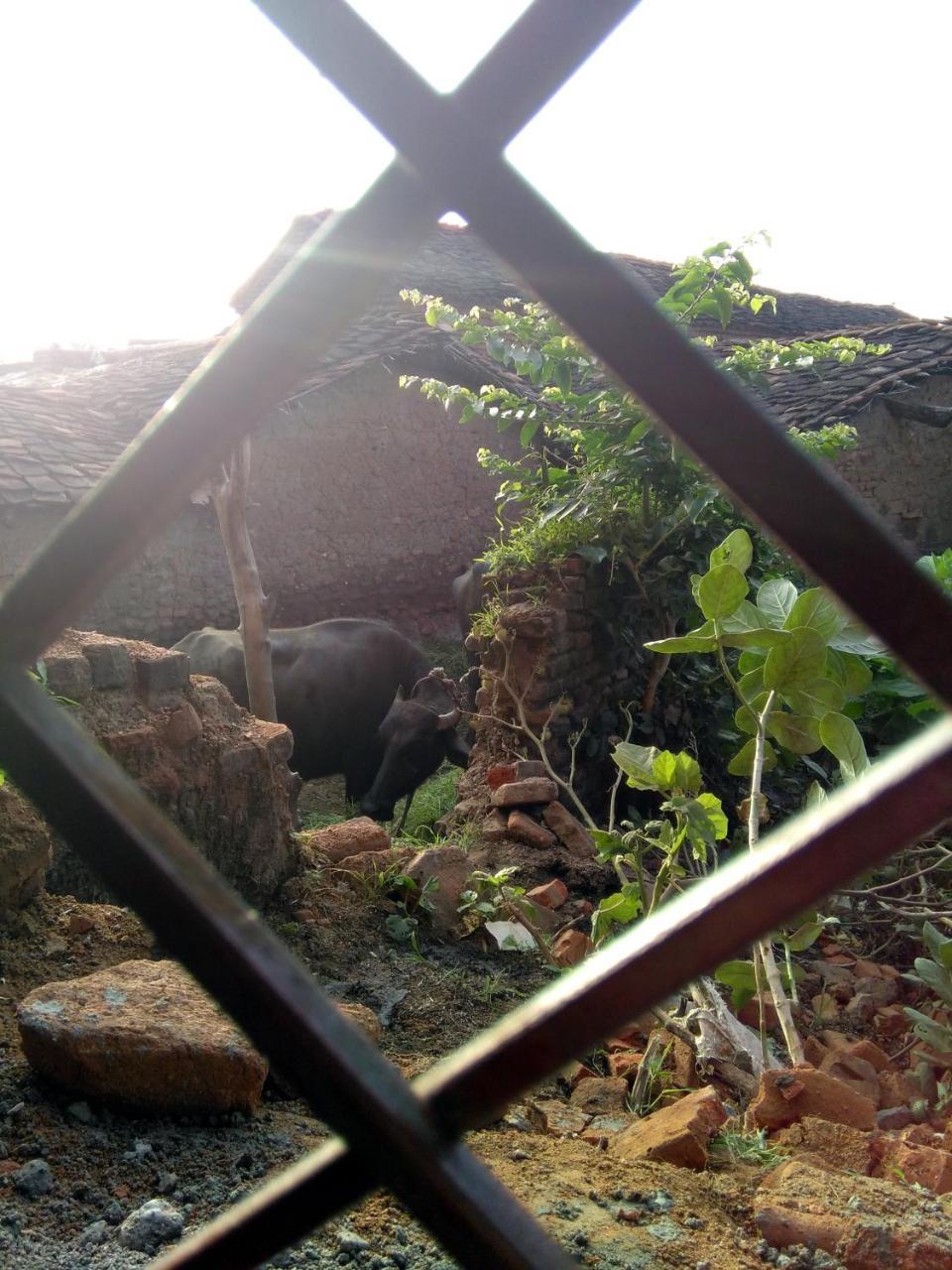 Friends In Khajuraho Apartment ภายนอก รูปภาพ